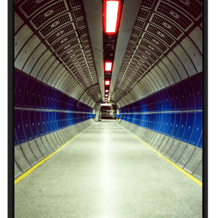 The Tube (Gap Edition)
