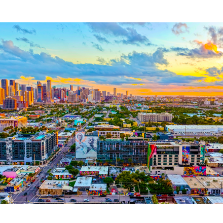 Wynwood (Frameless Edition)
